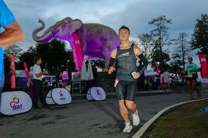 BIB: 
                            <button type="button" onclick="openModal(26529551)" class="btn btn-primary btn-sm float-right btn-popup" data-toggle="modal" data-target=".modal-high-quality">
                        <i class="fas fa-shopping-cart"></i> Add to Cart
                    </button>
                                            <button type="button" onclick="isThisMe(26529551, true)" class="btn btn-success btn-sm float-right btn-popup btn-isme hidden" data-toggle="tooltip" data-placement="bottom" title="นี่คือรูปของคุณใช่ไหม คลิกที่นี่เพื่อเอาเข้าอัลบั้ม">
                        <i class="fas fa-plus"></i> Add to album
                    </button>
                    <button type="button" onclick="isThisMe(26529551, false)" class="btn btn-warning btn-sm float-right btn-popup btn-isnotme hidden">
                        <i class="fas fa-ban"></i> Remove from album
                    </button>